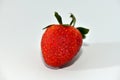 Isolated shot of a single strawberry close up. Royalty Free Stock Photo