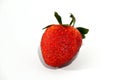 Isolated shot of a single strawberry close up. Royalty Free Stock Photo