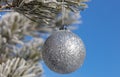 Close up shot of a single white glittering Christmas ball decoration hanging off a Christmas fir tree outside, partially covered Royalty Free Stock Photo