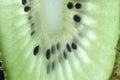 A close up shot of a slice of ripe kiwi fruit. Royalty Free Stock Photo