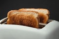 Close-up shot of slightly burnt white bread toasts sticking out of a toaster on the black background. Ready toasts with a dark Royalty Free Stock Photo