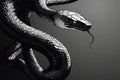 A close-up shot of a snake's head in black and white Royalty Free Stock Photo