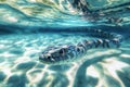 A close-up shot of a snake swimming in the water Royalty Free Stock Photo