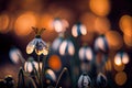 A close-up shot of a snowdrop with bokeh of other winter flowers in the background