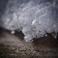 Close up shot of snowflakes on a cold winter day