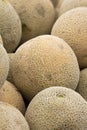 Fresh Cantaloupes Royalty Free Stock Photo