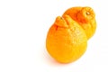 Fresh Sumo Mandarin on White Background