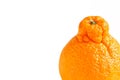 Fresh Sumo Mandarin on White Background