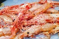 Close up shot of spot prawn selling in fish market