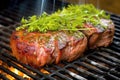 close up shot of a succulent asado steak on the grill