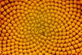 Close up shot of Sunflower seeds pattern Royalty Free Stock Photo