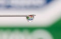 Close up shot of syringe with droplet , see through of South Africa flag with new COVID variant Royalty Free Stock Photo