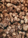 Close up shot of taro root
