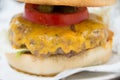 Close up shot of a tasty fresh hamburger in white paper