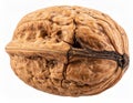 Close up Shot of a Textured Brown Walnut with Detailed Shell on White Background Royalty Free Stock Photo