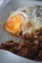 Close-up shot of the Thai homemade cuisine with Pork Sliced Fried with Garlic with egg. Royalty Free Stock Photo