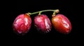 A close-up shot of three red grapes on a dark background Royalty Free Stock Photo