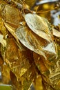 Close up shot of traditional Thai tree with golden leaf for donation in Chang Mai temple, Thailand. Royalty Free Stock Photo