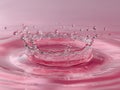 Close-up shot of a translucent water splash forming a crown shape on a smooth pink surface with reflections and droplets suspended Royalty Free Stock Photo