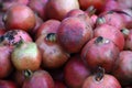 Close up shot of trite Pomegranates Royalty Free Stock Photo