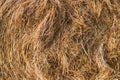 A close-up shot of a twisted haystack, dry straw. Hay texture. Harvesting concept in agriculture Royalty Free Stock Photo