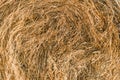 A close-up shot of a twisted haystack, dry straw. Hay texture. Harvesting concept in agriculture Royalty Free Stock Photo