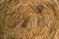 A close-up shot of a twisted haystack, dry straw. Hay texture. Harvesting concept in agriculture Royalty Free Stock Photo