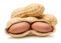 Two peanuts in a shell with one open revealing kernels Royalty Free Stock Photo