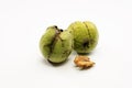 Close up shot of two raw wallnuts with green shell and one piece of walnut Royalty Free Stock Photo