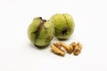 Close up shot of two raw wallnuts with green shell and two pieces of walnut Royalty Free Stock Photo