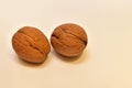Two ripe walnuts lie on the table. Royalty Free Stock Photo