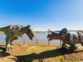 Close up shot of Tyrannosaurus Rex and Triceratops Dinosaur model