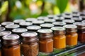 Close up shot of a variety of dry spices arranged on a kitchen table