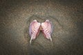 Close-up shot of a Veneridae on the sand Royalty Free Stock Photo