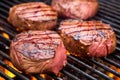 close-up shot of venison steaks with grill marks