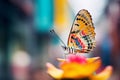 close-up shot of a vibrant butterfly on a flower