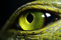 Close up shot of vibrant green snake showcasing its intricate scales and mesmerizing gaze