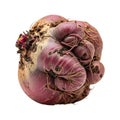 Close Up Shot Of A Vibrant Red Beet With Roots And Soil On A Plain White Surface In Studio Light Royalty Free Stock Photo