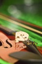 Close up shot of a violin,very soft def of field. blur photo