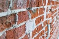 Close up shot of the wall made of old bricks. Texture Royalty Free Stock Photo