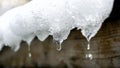 Close-up shot of water droplets falling from icicles on a rooftop. Changing of the seasons, showcasing the beauty of nature and Royalty Free Stock Photo