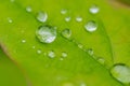 Close up water droplets on a green leaf with blurred background in a garden Royalty Free Stock Photo