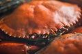 Close-up shot of Well-Done Steamed Crabs