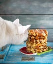 Close-up shot of white cat head sniffing a stack of waffles