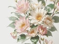 Close up shot white with pink petals form a harmonious contrast, capturing the essence of purity and grace, while infusing a