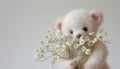 A white and pink teddy bear holding a bouquet of dainty white flowers, Royalty Free Stock Photo