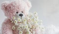 A white and pink teddy bear holding a bouquet of dainty white flowers Royalty Free Stock Photo