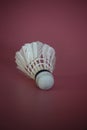 Close-up shot of a white shuttle cock for badminton sport on pink background. Royalty Free Stock Photo