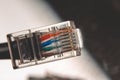 Close up shot of the wires in an ethernet cable Royalty Free Stock Photo