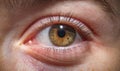 Close up shot of woman eye with hazel brown eyes Royalty Free Stock Photo